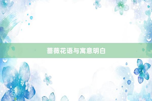 蔷薇花语与寓意明白