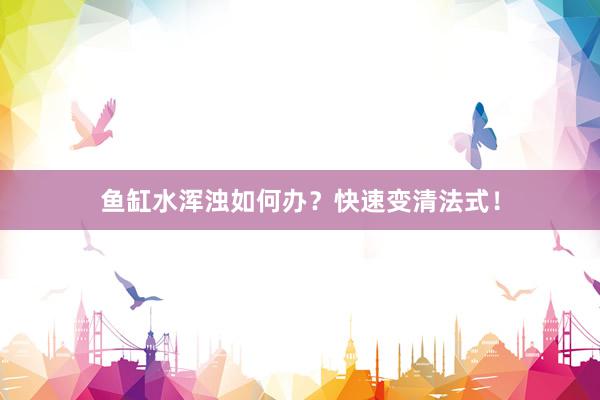 鱼缸水浑浊如何办？快速变清法式！